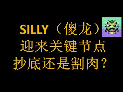 SILLY（シリードラゴン）は重大な局面を迎えています。底を買うべきですか、それとも肉を切りますか？ ｜SILLY｜PONKE｜MAGA｜｜MYRA｜MYRO｜BONK｜MEMECOIN｜DOGE｜ドージコイン｜ビットコイン｜ドージコイン