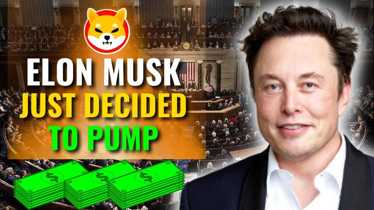 埃隆·马斯克 (Elon Musk) 刚刚决定再次吸食柴犬！！这是巨大的 - 柴犬价格预测