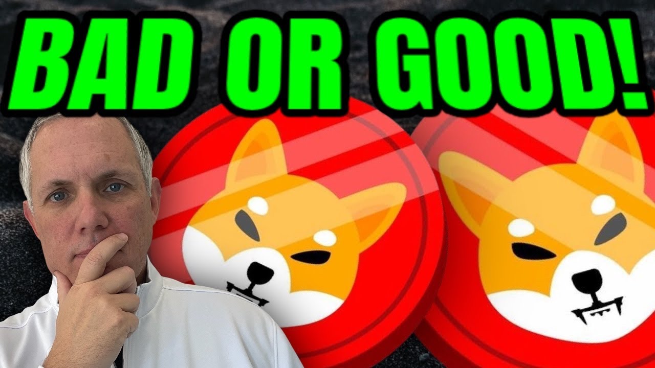 SHIBA INU – MAUVAIS OU BON ?!