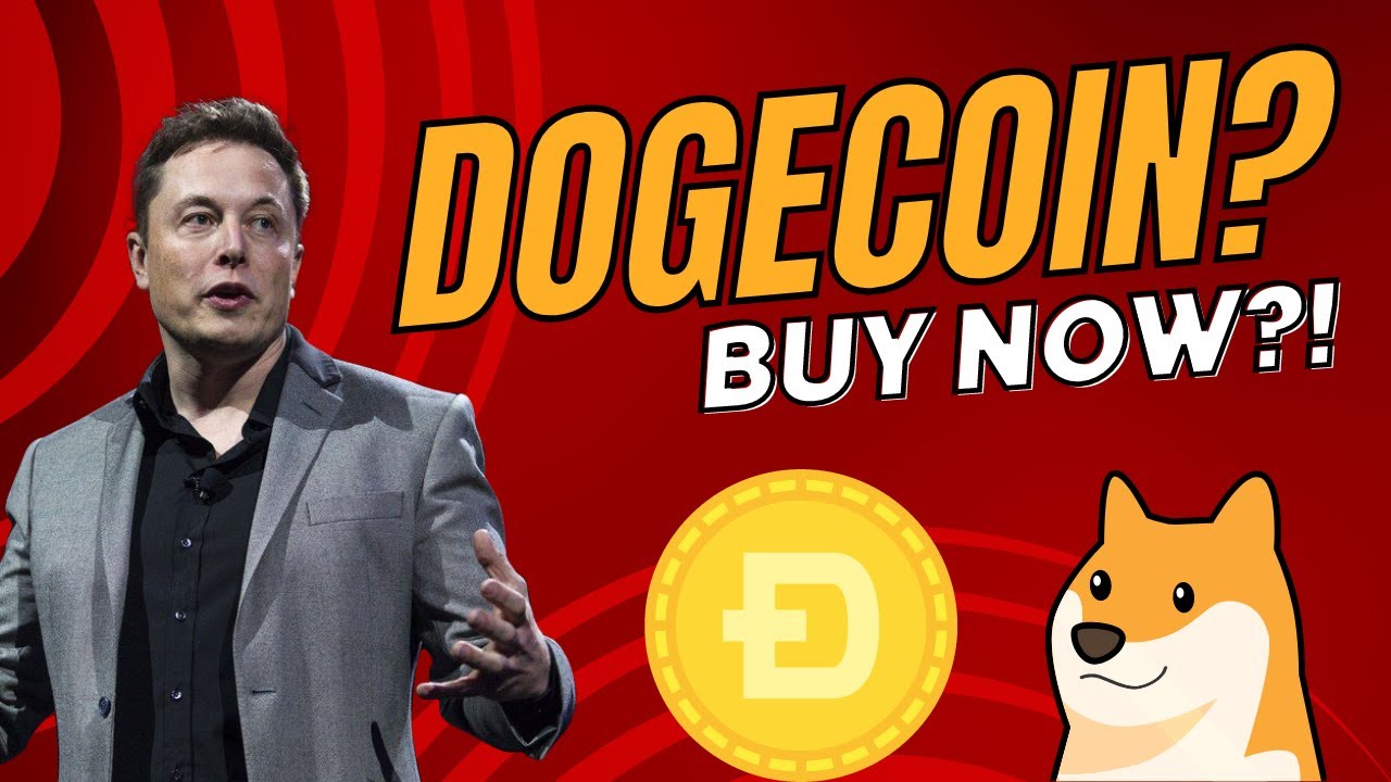 SHOULD YOU BUY DOGECOIN?! ELON MUSK HINTS AT  A MASSIVE DOGECOIN PUMP?!