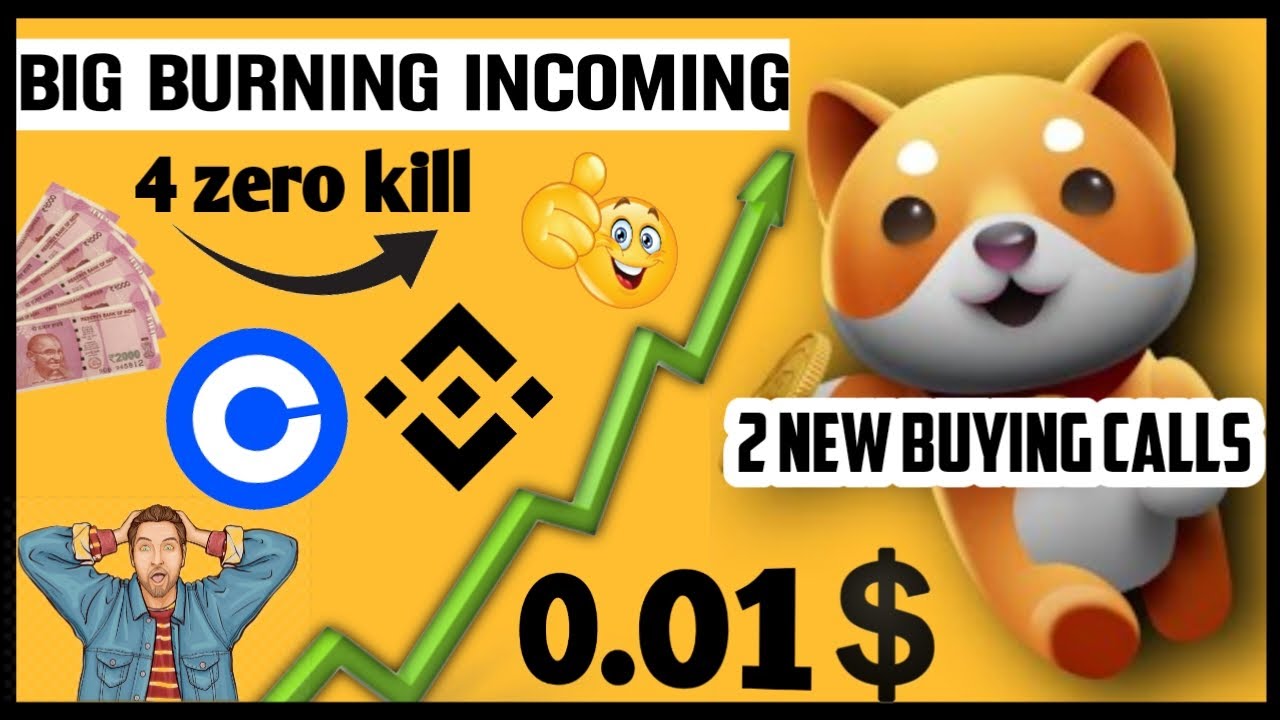 Baby Dogecoin Biggest Burning In Coming? ?? BabyDoge Future ? Today Crypto News