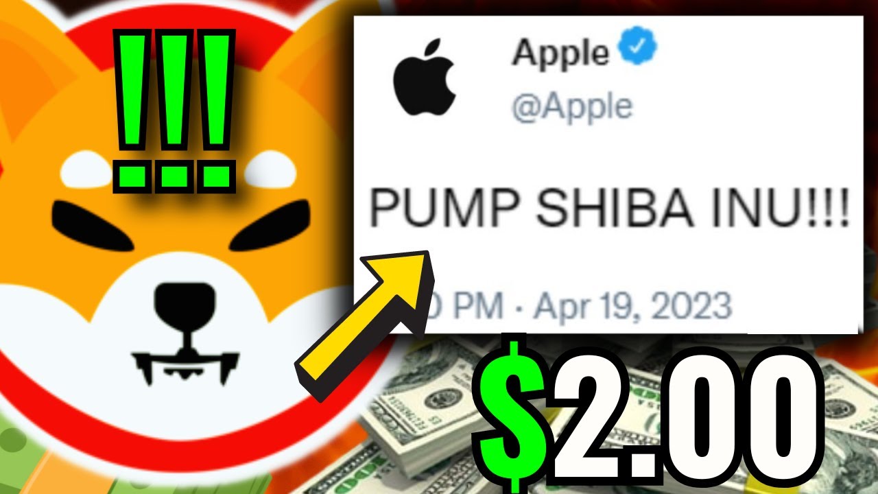 今月ついに、Apple が柴犬を 2 ドルの巨人に変身させます!!今日のシブニュース！