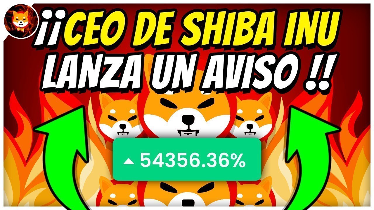 ? 柴犬99%!! SHIBAチームからのお知らせにご注目ください!! ✅