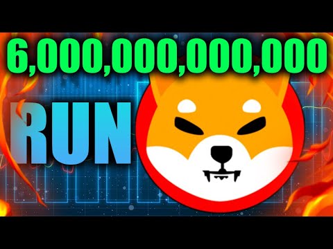 6,000,000,000,000！柴犬最后 24 小时跑步