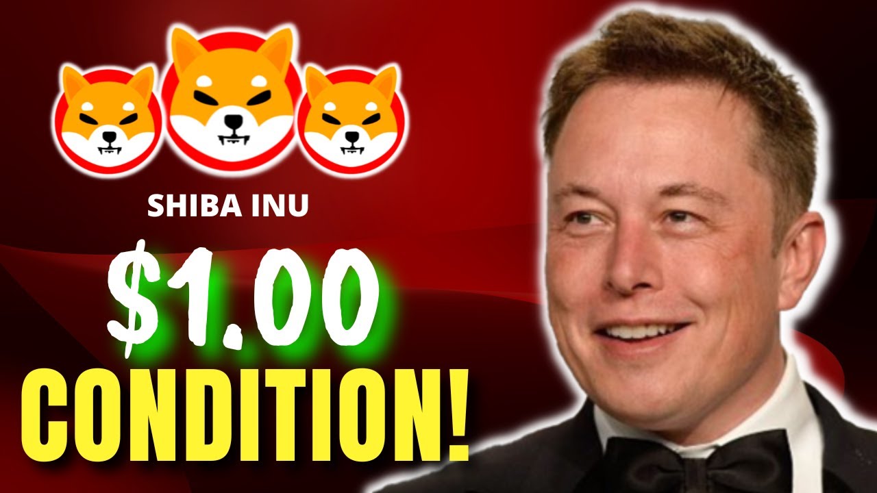 SHIBA INU COIN INSIDER HAT DAS GERADE GESAGT OMGG!!! UNTER NUR 1 BEDINGUNG! - SHIB-NEWS HEUTE