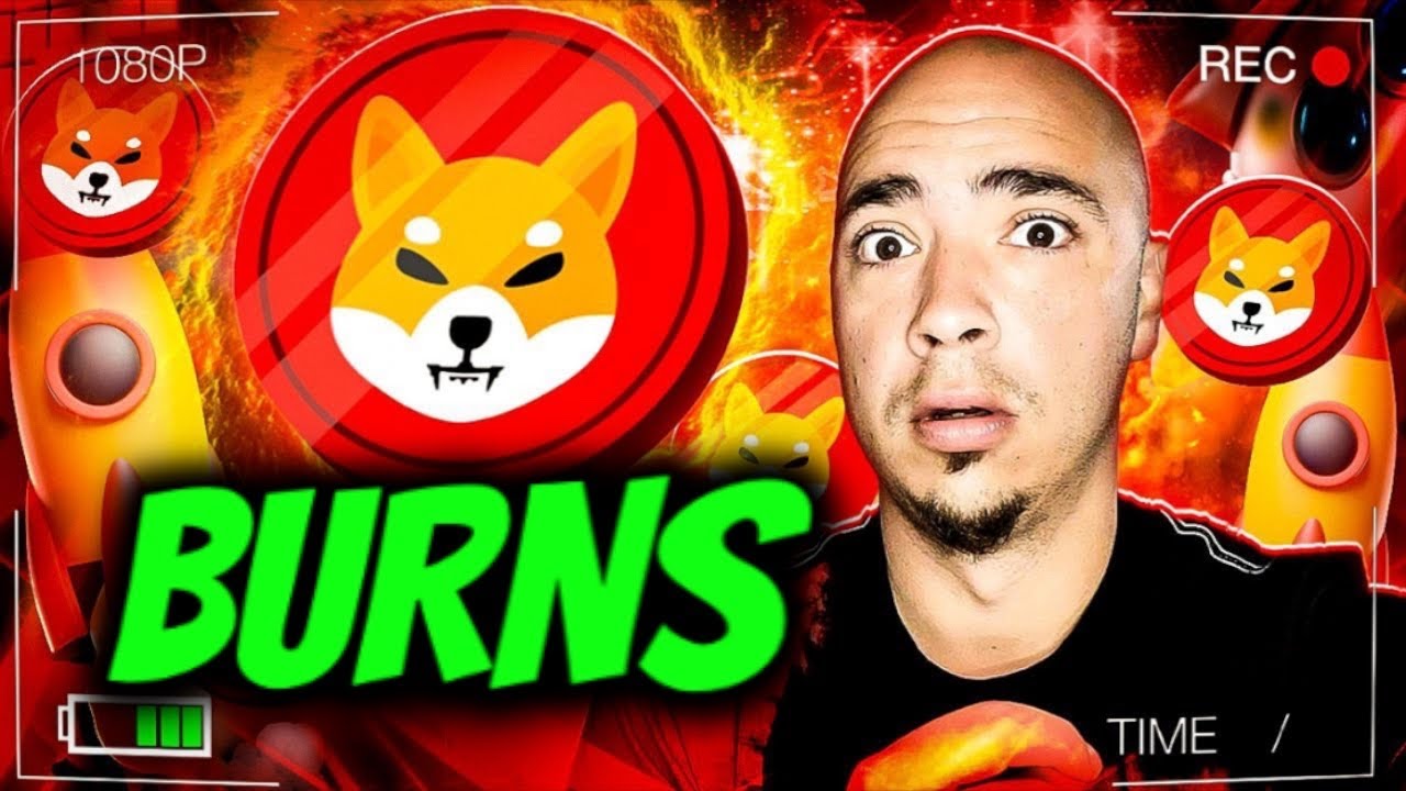 SHIBA INU COIN BURNS - WHEN? WHY? HUH?