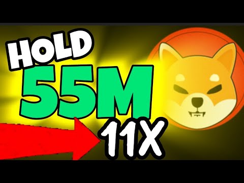 Vous avez 55 millions de pièces Shiba Inu Look 11X que vous pourriez gagner si MAINTENEZ ATH #shib