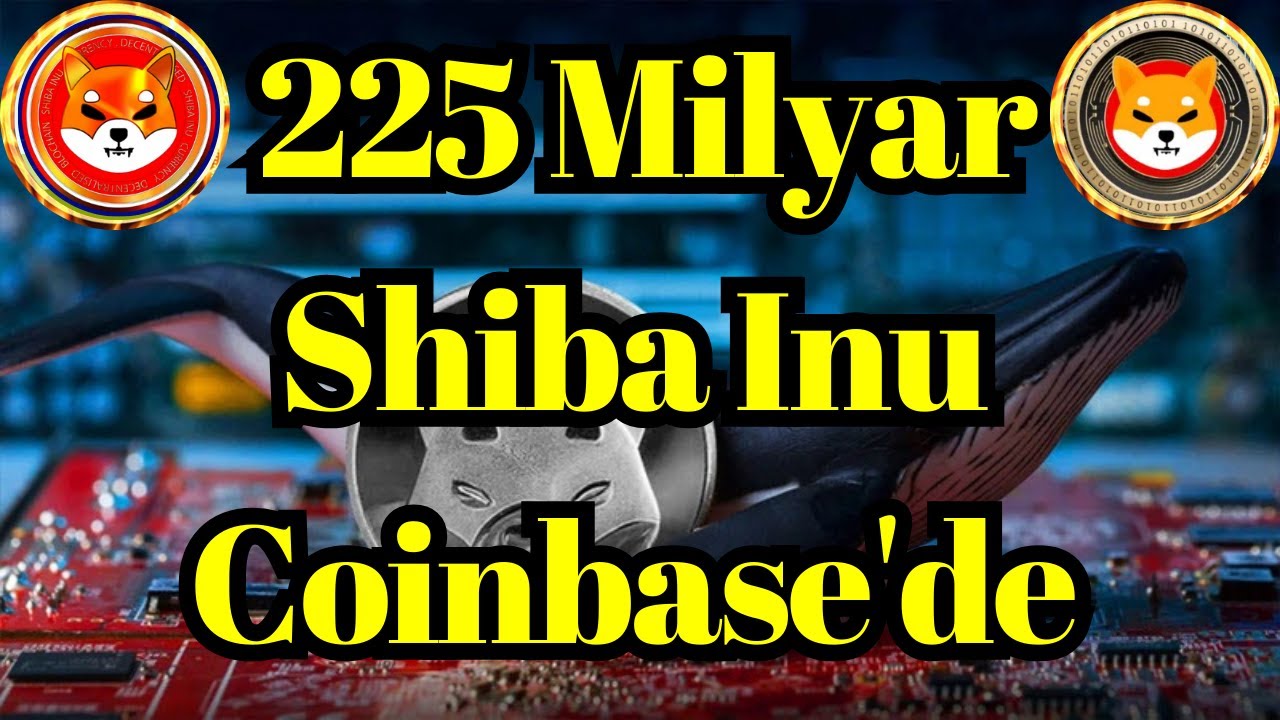 加密语音新闻 | 2250 亿只柴犬 (SHIB) 丢失在 Coinbase 的未知钱包中