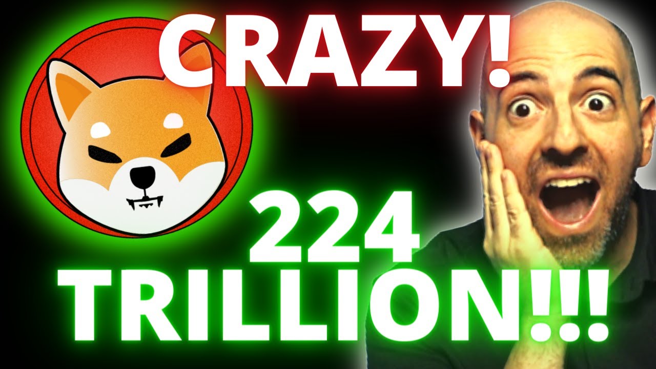 哇！柴犬 224,000,000,000,000！柴犬史诗机动！