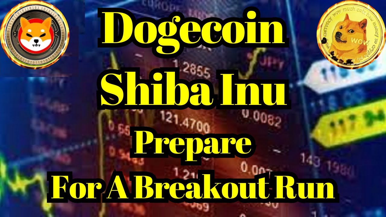 Altcoin aujourd'hui | Dogecoin et Shiba Inu, les deux meilleures pièces de monnaie se préparent pour une course en petits groupes !