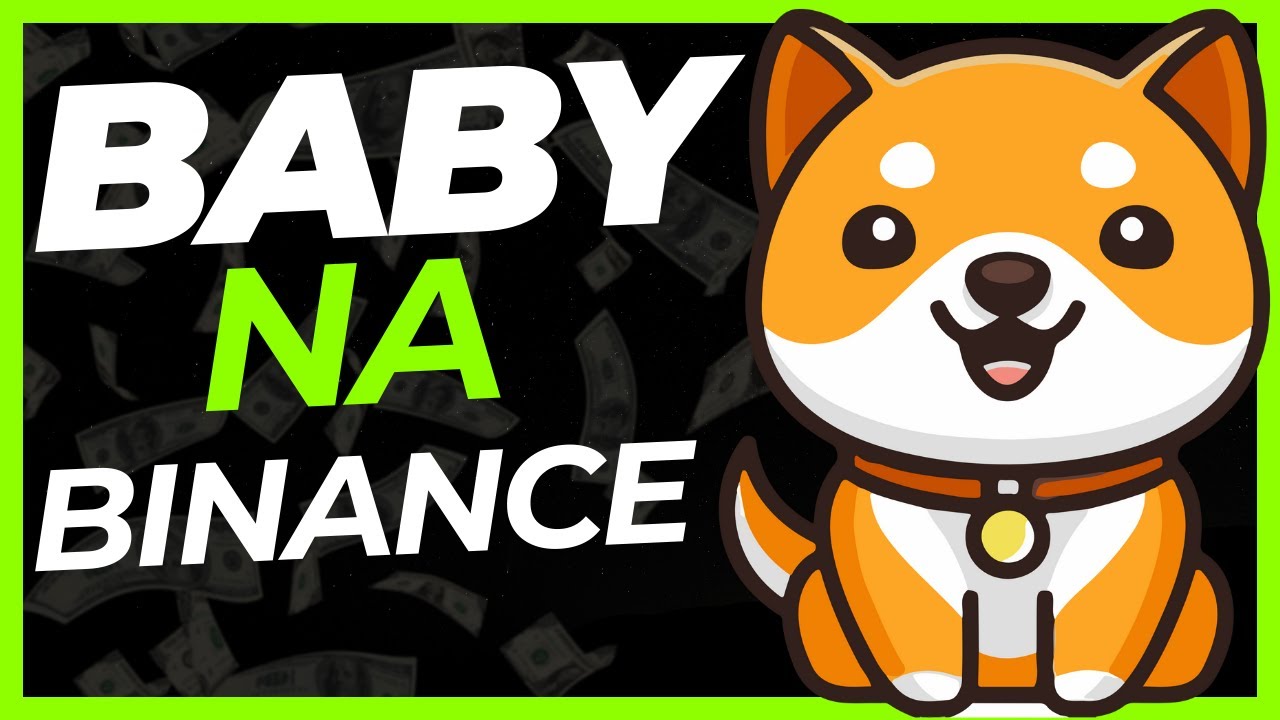 BÉBÉ DOGE DE BINANCE