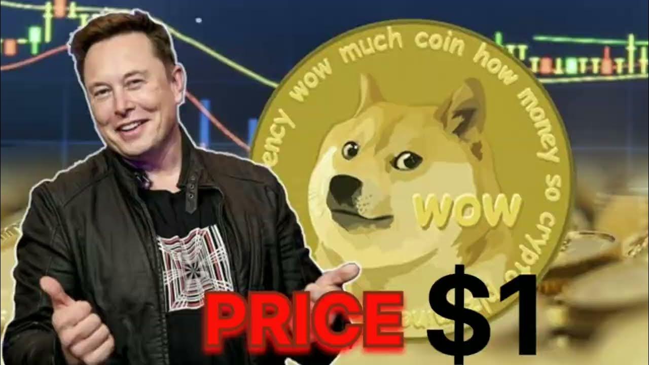 DOGE 币已有 3 年历史的 CRYPTO 投资 || 2024 年 DOGE 币价格为 1 美元#dogecoin #elonmusk