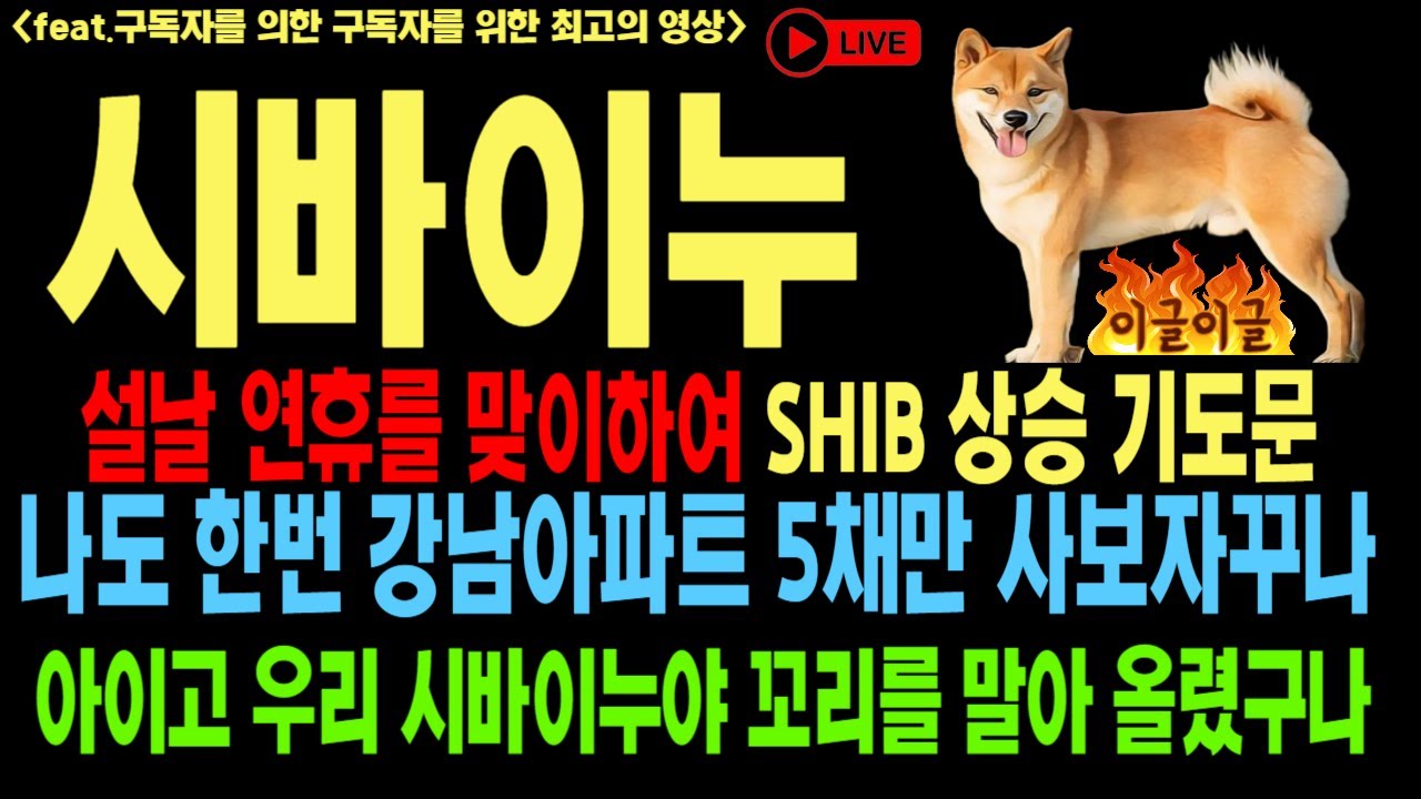 シバイヌ・シバイヌコインSHIB