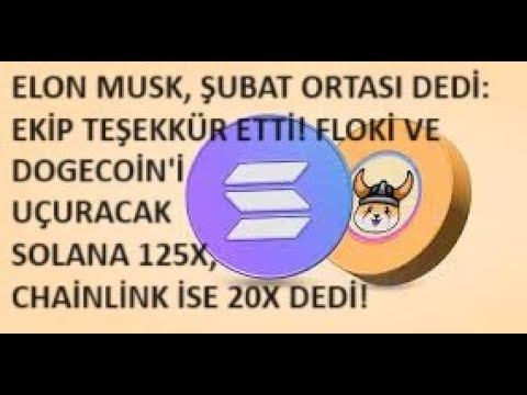 イーロン・マスク氏は2月中旬、チームに感謝すると語った: フロキとドージ・アスが来る?ソルは125倍、リンクは20倍?