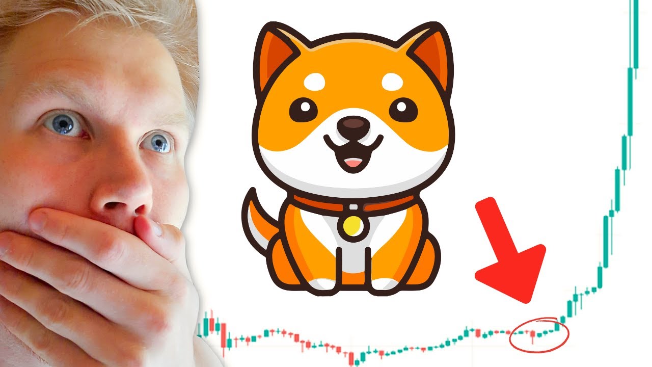 Baby Doge Coin BABYDOGE Price Prediction 2024-2025