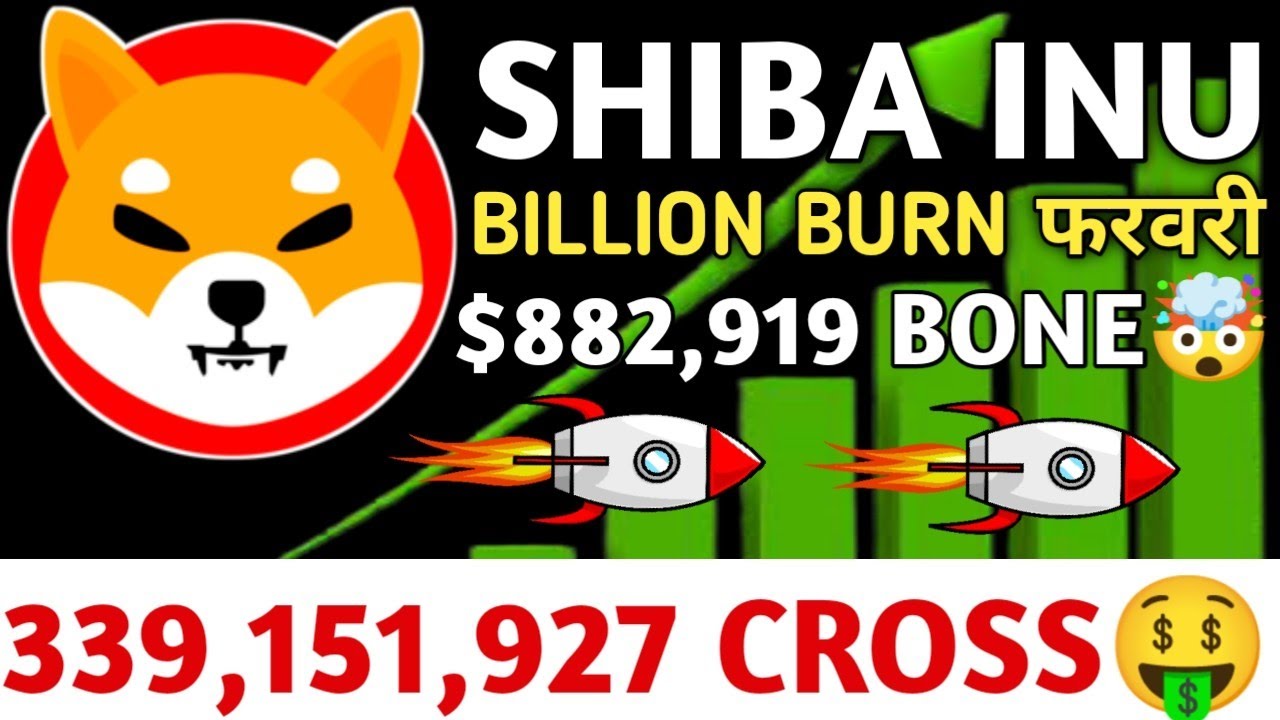 SHIBA INU?BILLION BURN फरवरी?8,82,919 $ KNOCHEN GESAMMELT?339,151,927 CROSS SHIBARIUM #shiba #shibainu