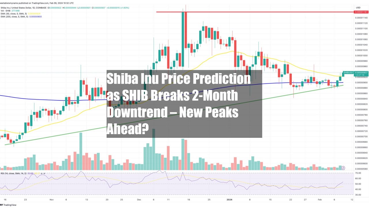 SHIBが2か月の下落傾向を打破したための柴犬の価格予測 – 新しい