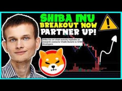 마지막 4분: 랠리를 실시간으로 목격?10000X?VITALİK BUTERIN에서 SHIBA INU COIN?BURN까지의 놀라운 지원?