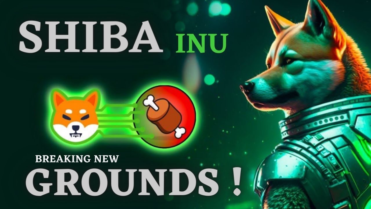 NOUVELLES ET MISE À JOUR MAJEURES DE SHIBA INU CRYPTO ! LES DÉTENTEURS DE JETONS D'OS DOIVENT VOIR CELA ?