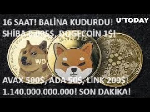 16 SAAT?BALINA KUDURDU：SHIBA INANU 0.005$，CARDANO ADA 50$，AVAX 500$，DOGECOINA 1$ VE CHAAINLINK 200$?