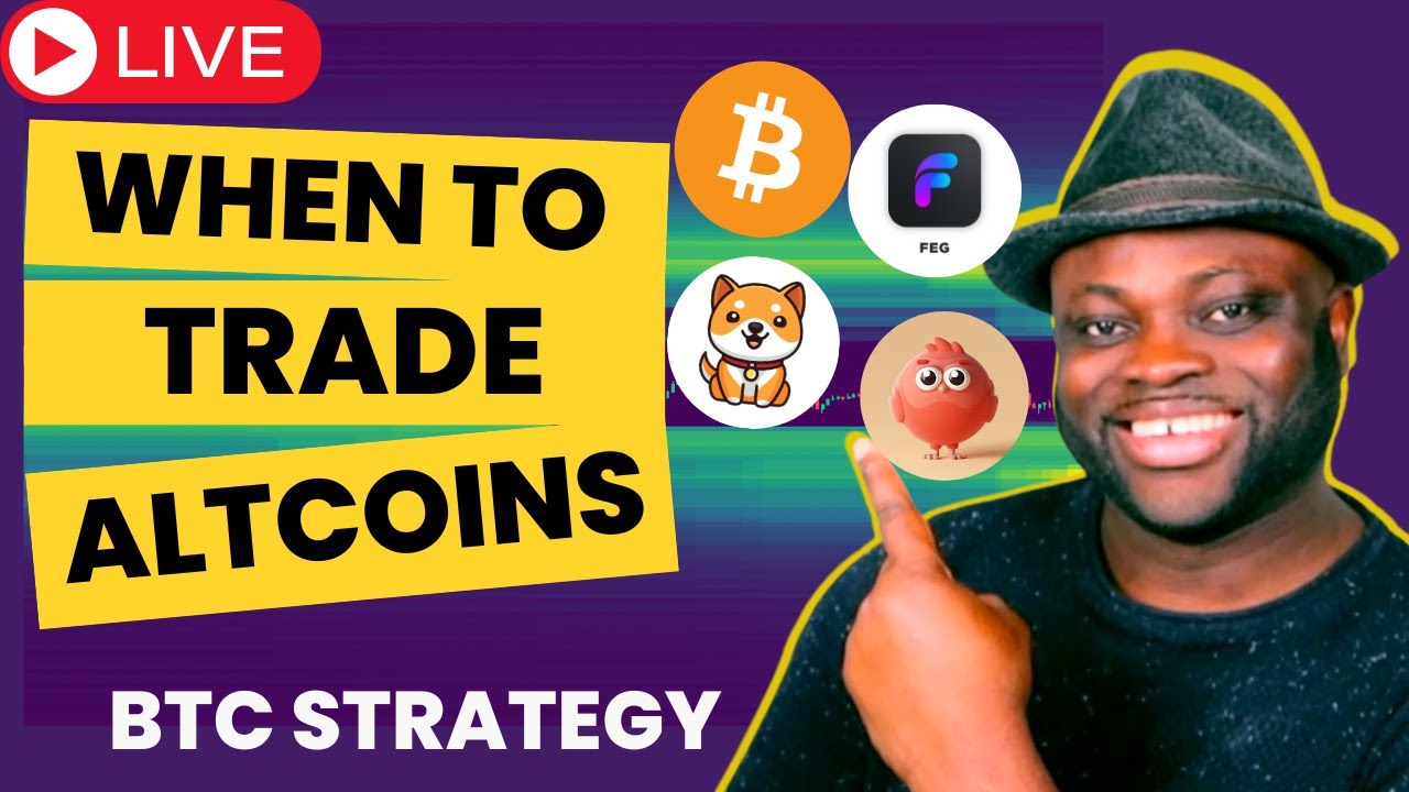 Crypto Trading: How to Trade FEG Coin Chirpley Crypto Baby DogeCoin During Bitcoin Market Resistance