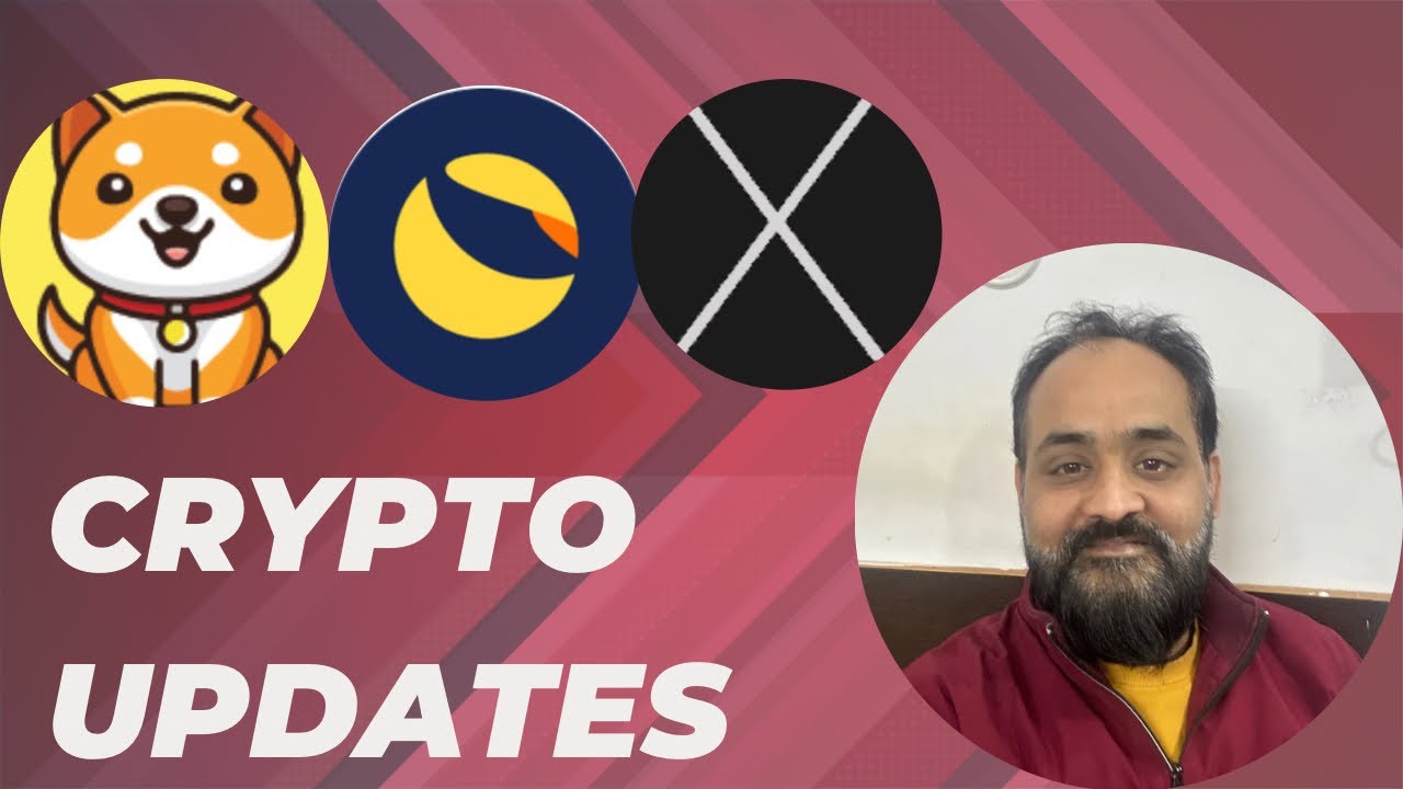 加密新闻：Bitgert Brise、Terra Classic LUNC、Baby dogecoin、Xen Crypto