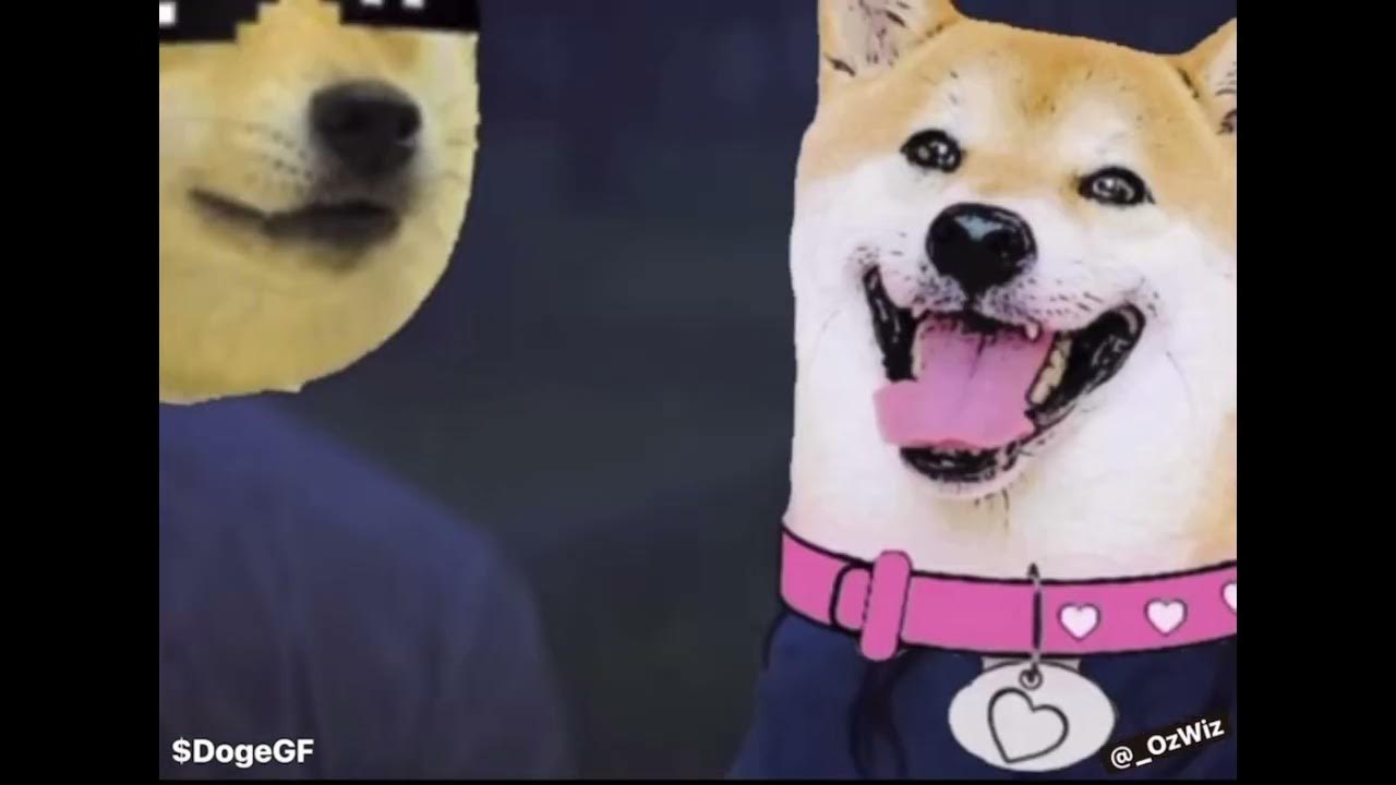 DogeGF (Dogecoin のガールフレンド) をフィーチャーしたノートブック