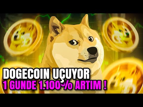 ドージコイン (DOGE) のネットワーク活動が大幅に増加!!