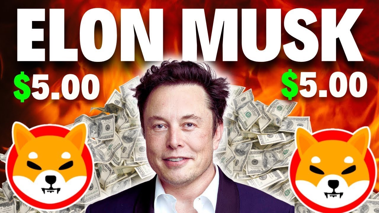 最新柴犬新闻！埃隆·马斯克 (Elon Musk) 抛出了一个重磅炸弹，让柴犬崛起！！