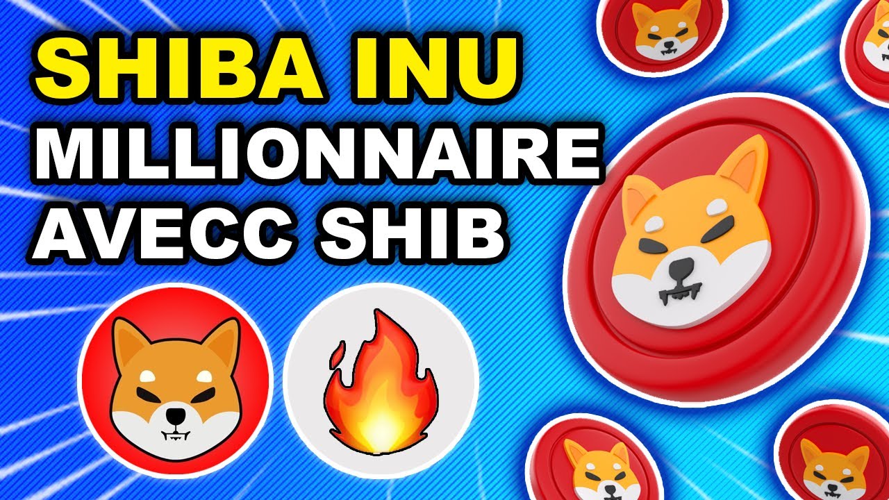 ? 柴犬：加格納一百萬美元？！ ? 比特幣加密減半前 3 名 ?（actu crypto SHIB）