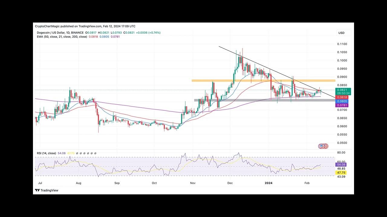 고래 거래량이 감소하는 가운데 Dogecoin 가격의 다음 단계는 무엇입니까?