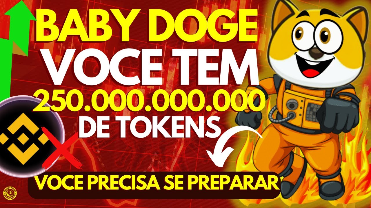 DOES BABY DOGE CRYPTOCURRENCY STILL HAVE A CHANCE ON BINANCE? YOU NEED TO KNOW THIS!!!