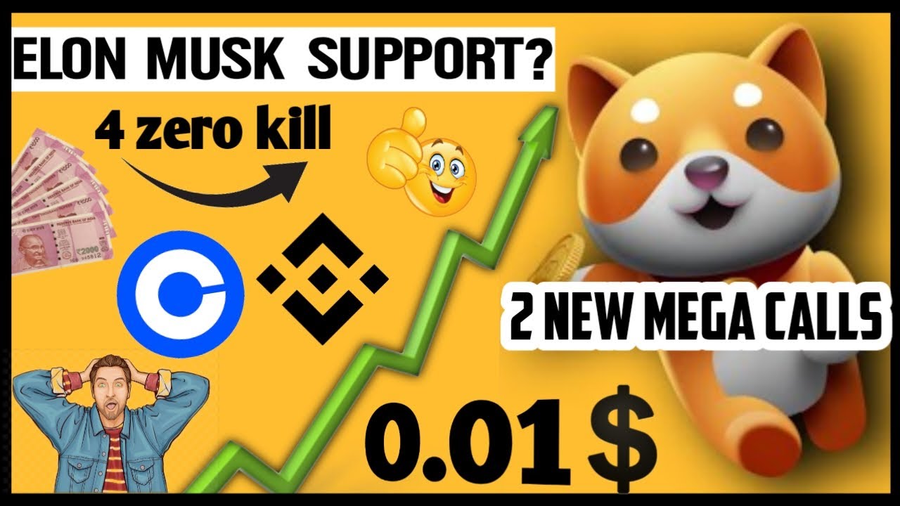 Baby Dogecoin को किया Elon Musk Support? ?? BabyDoge Future ? Today Crypto News