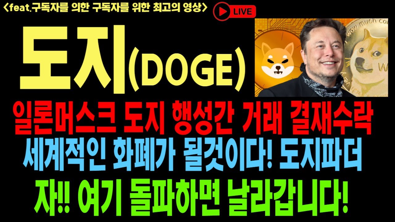 ドジコイン ドジコイン展望 ドジコイン好財 DOGE イロンマスク ドッジコインファザー 決済プラットフォーム インフラ構築 コイン展望 ビットコイン イーサリアム ドジコイン