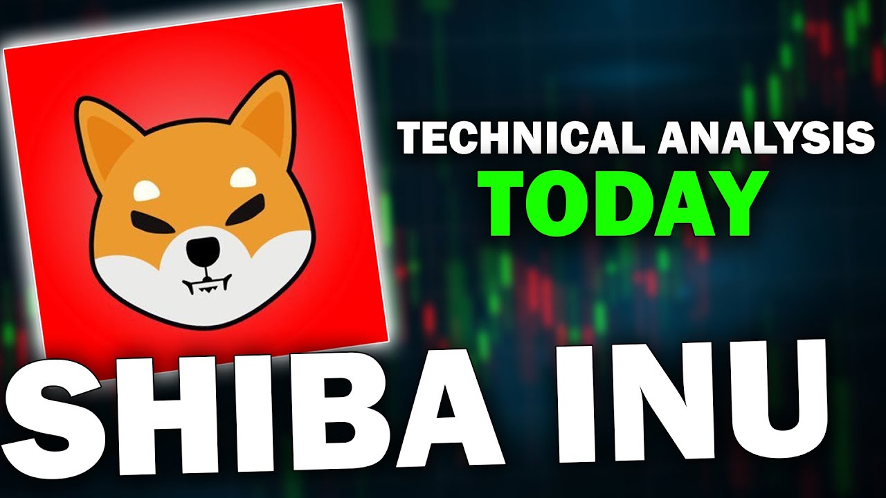 柴犬 SHIB BULLRUN 泵即将推出？ | SHIB技术分析| SHIB价格预测