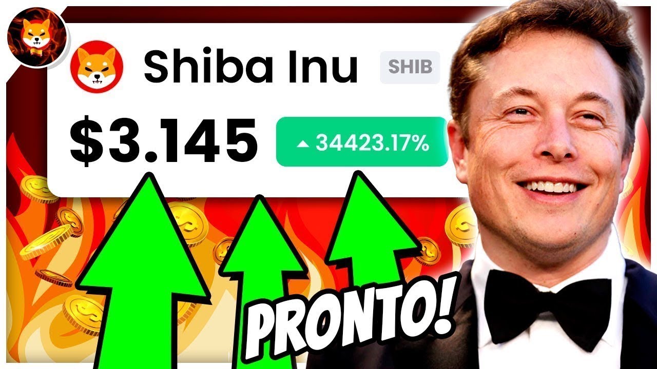 ? SHIBA INU CEO はこれをやりたくてせっかちです…SHIBA を飼っているなら興味はありますか!! ✅