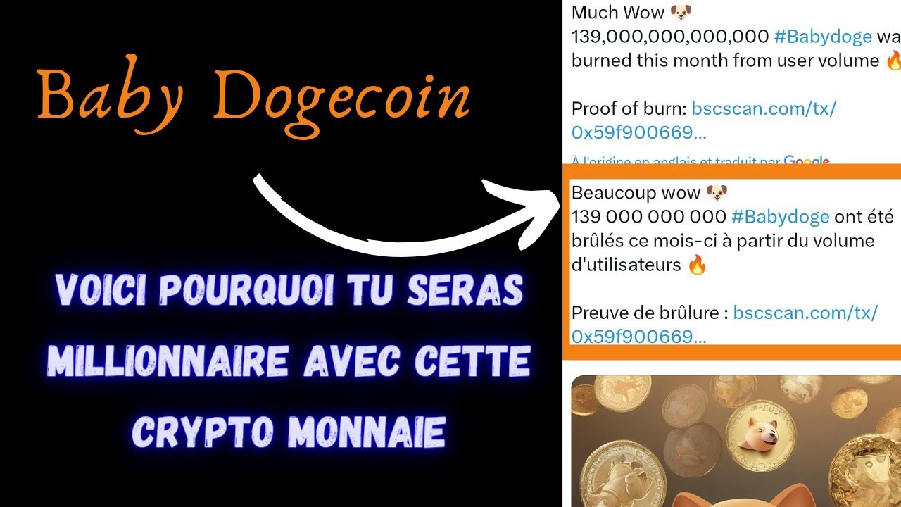 Baby Dogecoin Werden Sie mit dieser Kryptowährung bei Bullrun Millionär ? mit dieser guten Nachricht