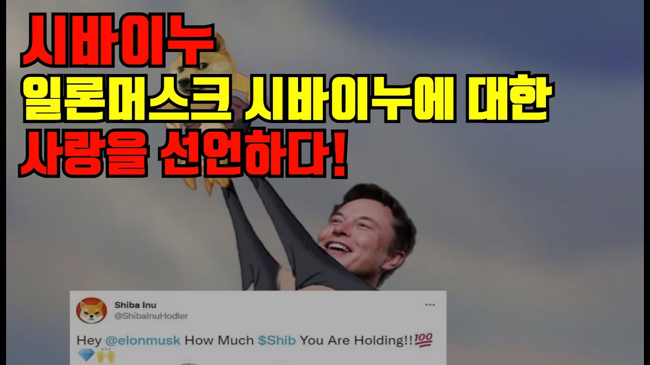 시바이누 Elon Musk Shiba Inu에 대한 사랑을 선언!