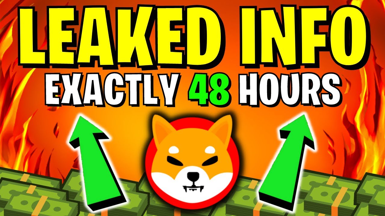 SHIBA INU CEO REVEALED SECRET PRICE PUMP IN 48 HOURS EXACTLY!!! - EXPLAINED