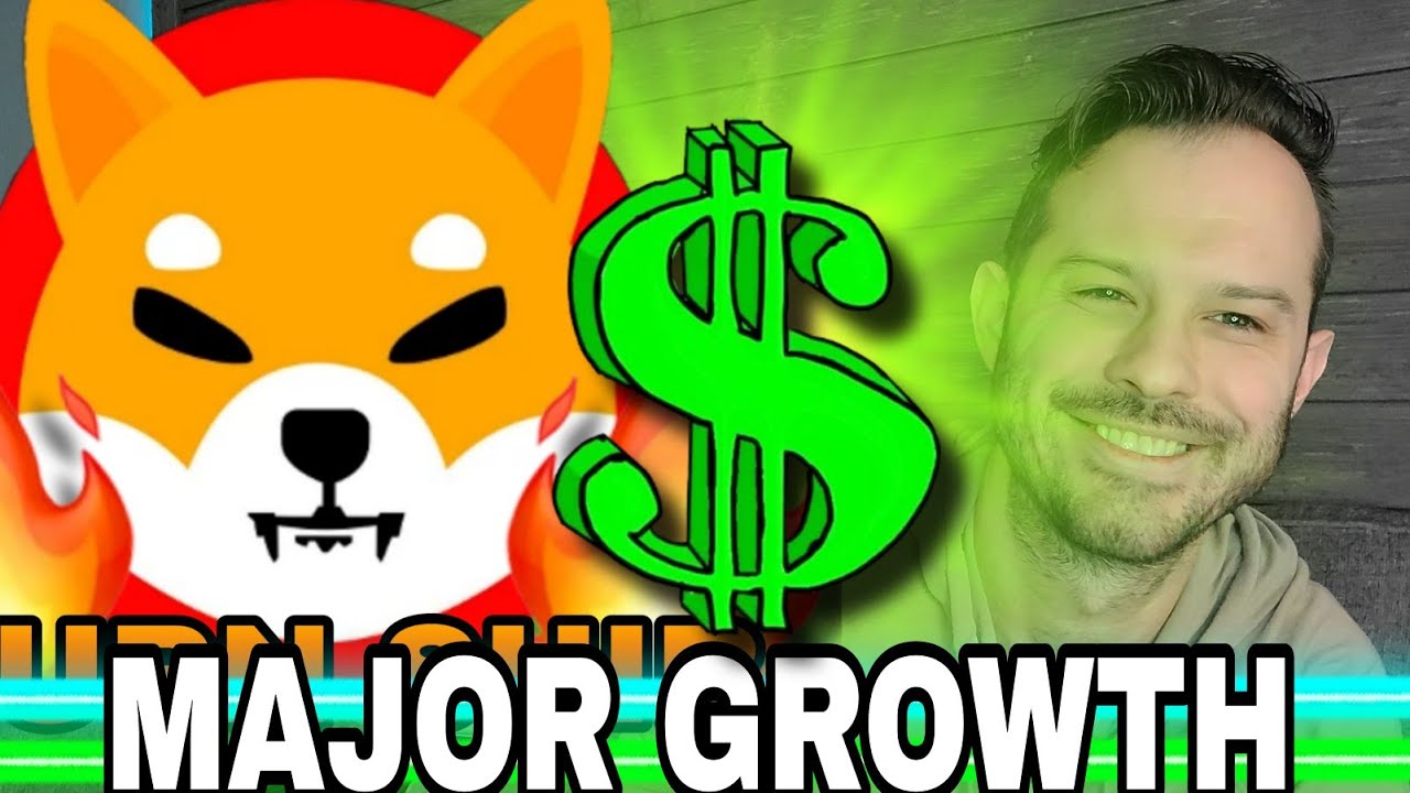 Shiba Inu Coin | SHIB Sees Major Growth SHIB Price Ready!