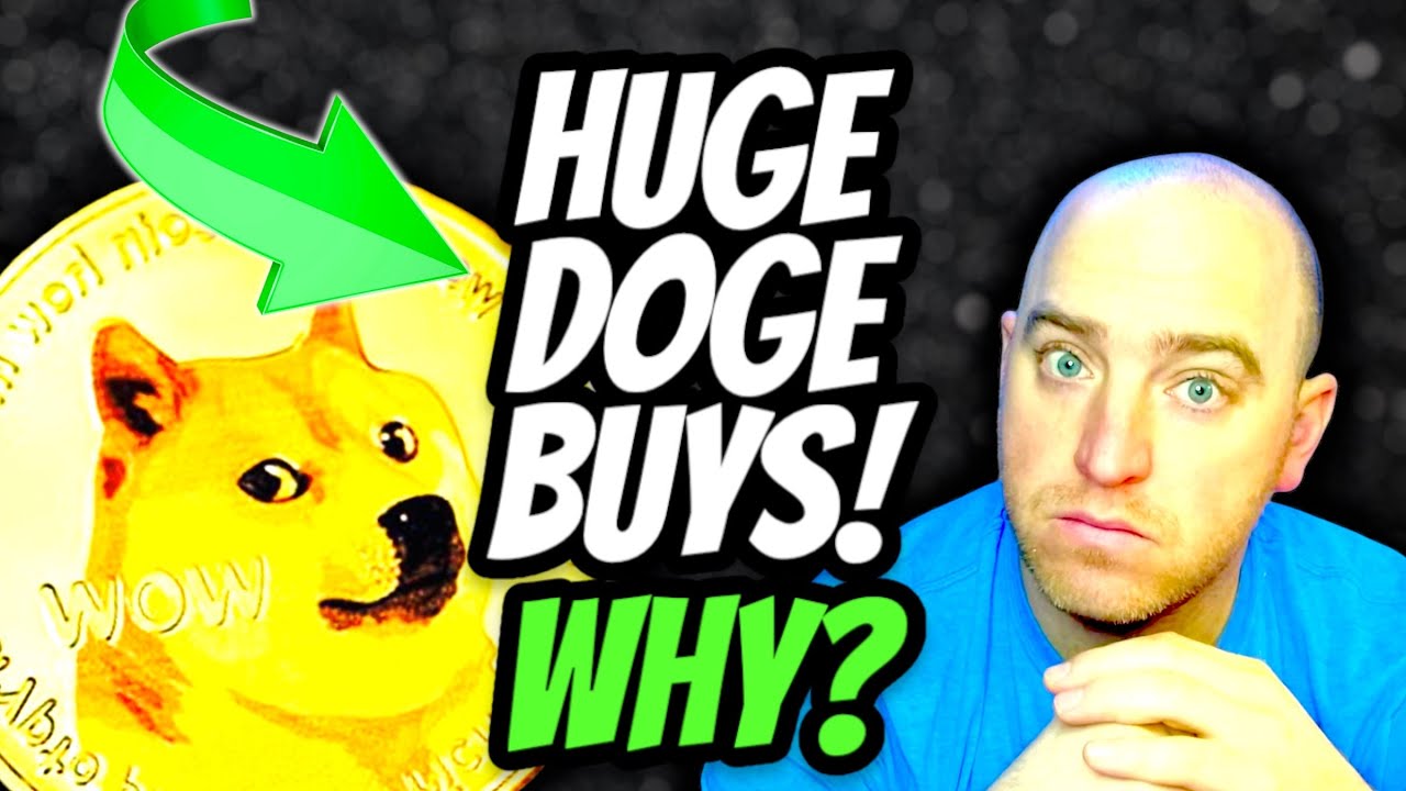 Dogecoin (DOGE) - Unveiling the Truth Behind Dogecoin's Enormous Buys!