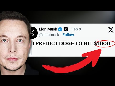 Elon 预测狗狗币会涨到 1000 美元吗？神秘罗宾汉转会！？ ?