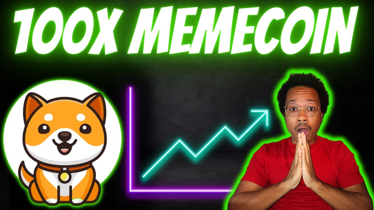 MEMECOIN 시즌을 위한 BABY DOGE 코인 100X