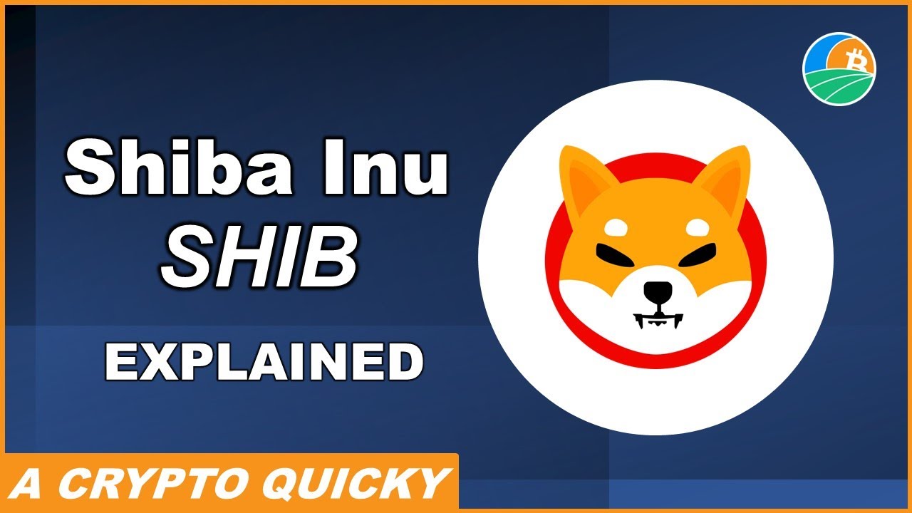 Shiba Inu (SHIB) 在加密货币快速解释 - Shiba Inu 在 2 分钟内描述