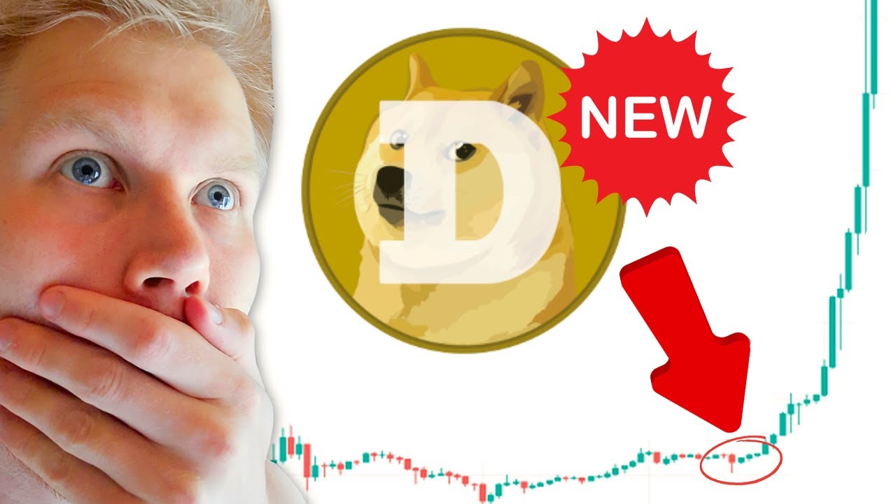 새로운 DOGECOIN 가격 예측 2024-2025