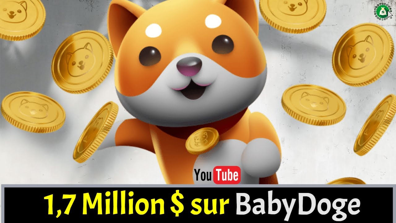 Sie beschlossen, alles auf Baby DogeCoin zu setzen