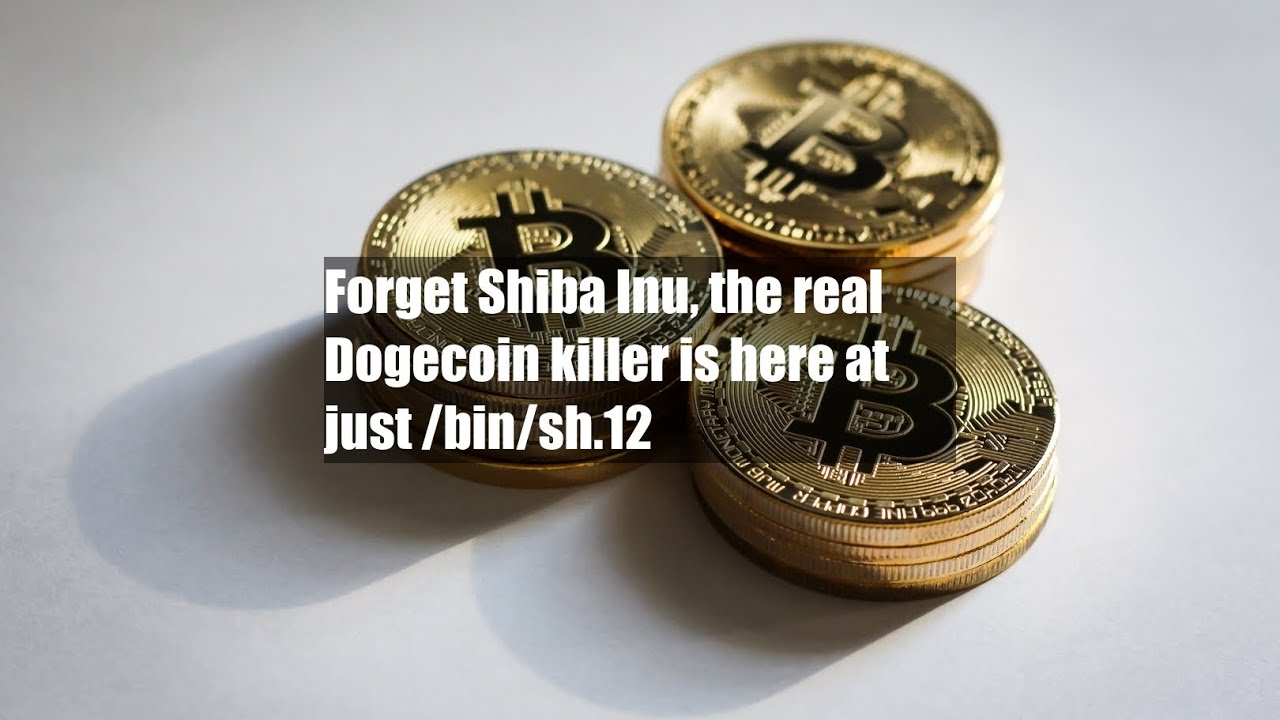 Vergessen Sie Shiba Inu, der wahre Dogecoin-Killer ist hier für nur 0,12 $