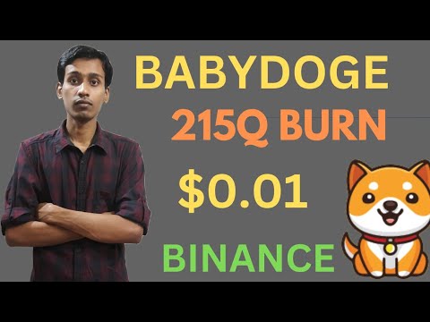 Baby-Dogecoin-Neuigkeiten heute | Großes Brennen | BabyDoge Münzpreispumpe 100x | Neue Auflistung