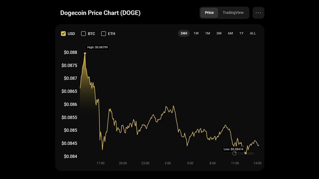 DOGE-Preisprognose für den 17. Februar