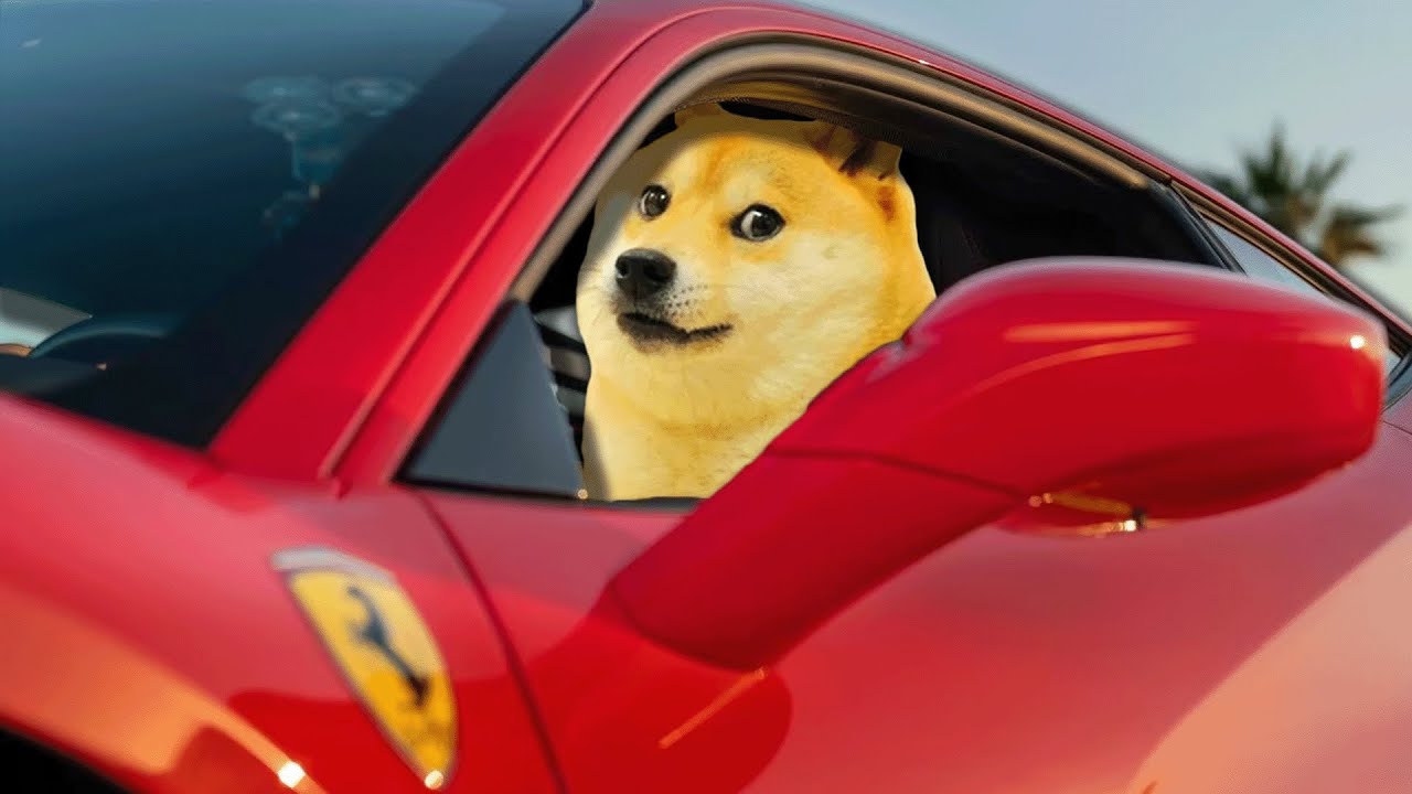 Dogecoin pumpt in den Ferrari-Neuigkeiten! | Der Einzelhandel kehrt zu Krypto zurück!